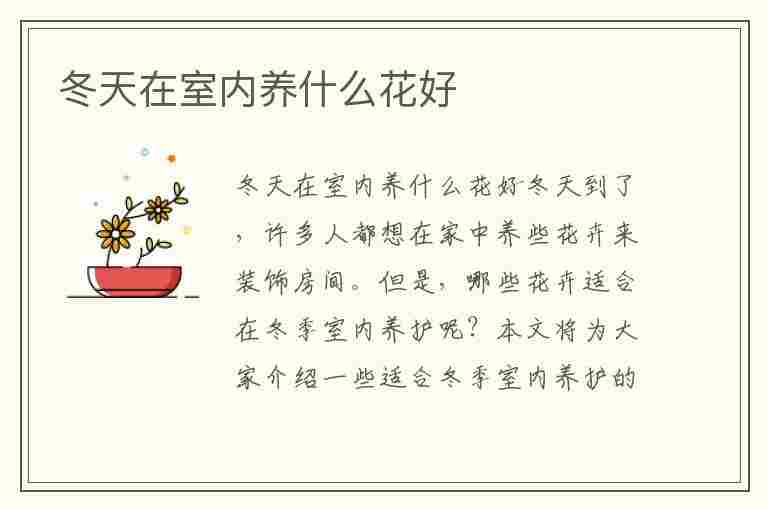 冬天在室内养什么花好(冬天在室内养什么花好养)